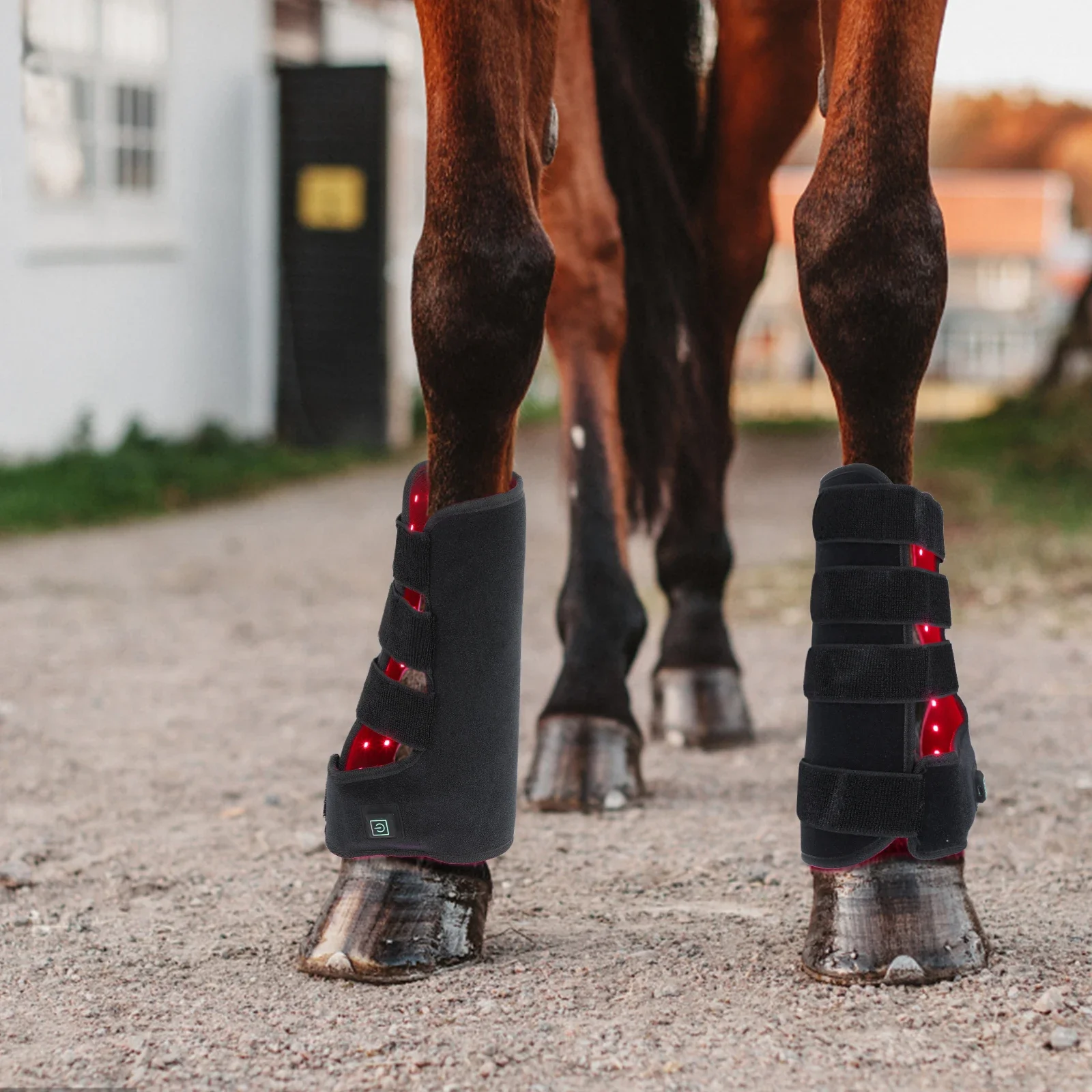 New 660nm 850nm Red light ther - огляд і ціна Brushing Boot Horse