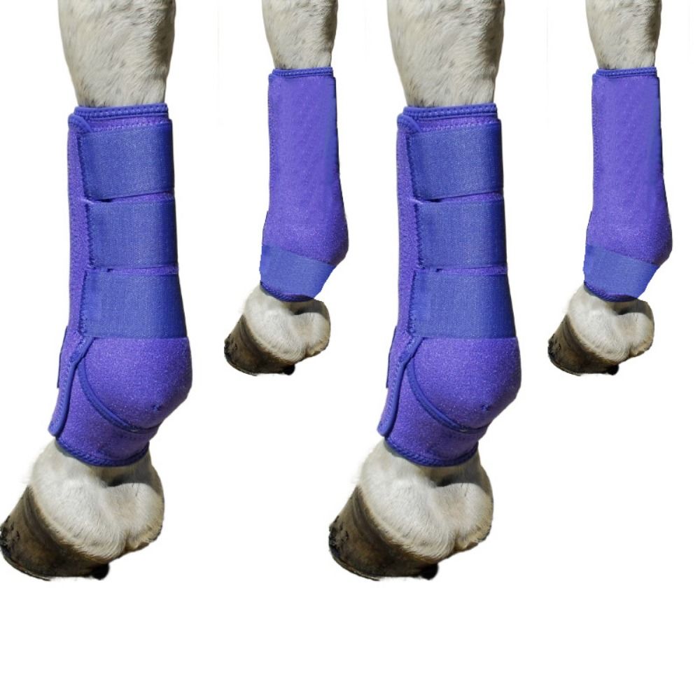 4pcs/set Colorful Horse Sport  - огляд і ціна Brushing Boot Horse