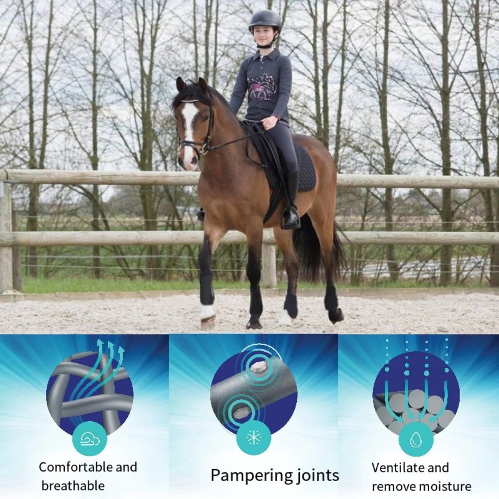 4pcs/set Colorful Horse Sport  - огляд і ціна Brushing Boot Horse