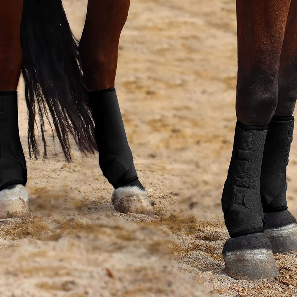 4pcs/set Colorful Horse Sport  - огляд і ціна Brushing Boot Horse